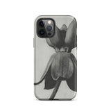 Asclepias Syriaca (common Milkweed) - Karl Blossfeldt Iphone Case, 12 Pro / Matte, Black White Floral Phone Case