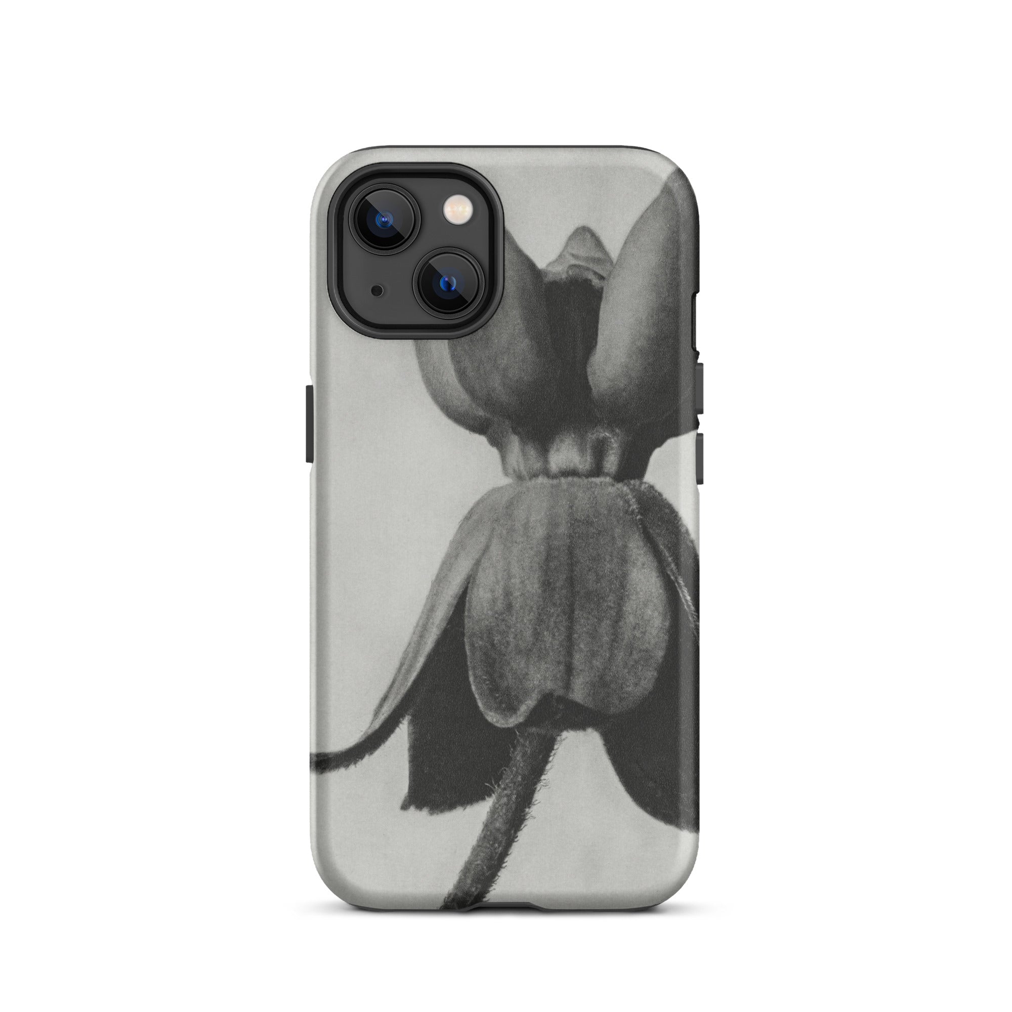 Asclepias Syriaca (common Milkweed) Karl Blossfeldt Iphone Case, 13 / Matte, Black White Floral Phone Case