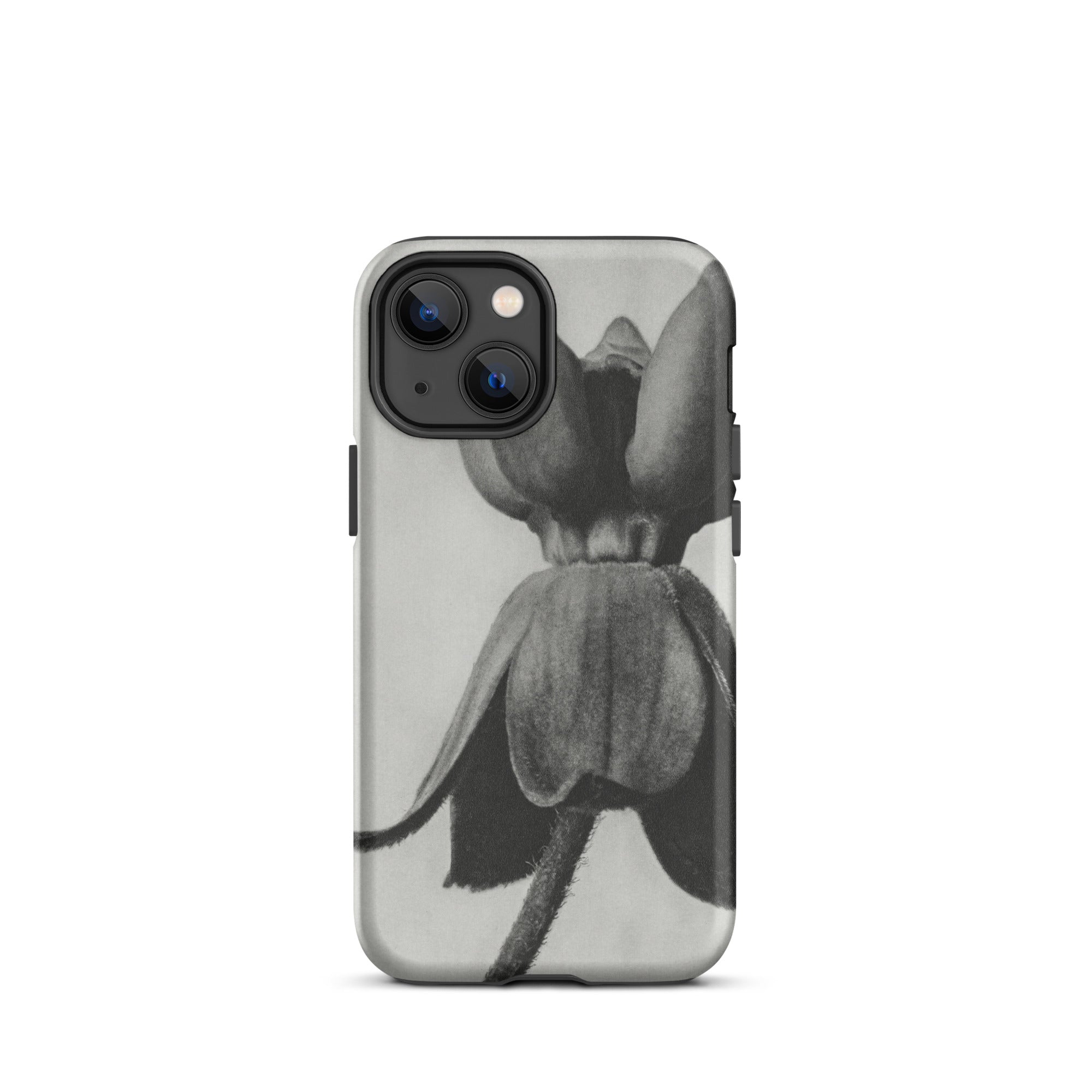 Asclepias Syriaca (common Milkweed) Karl Blossfeldt Iphone Case, 13 Mini / Matte, Black White Floral Phone Case