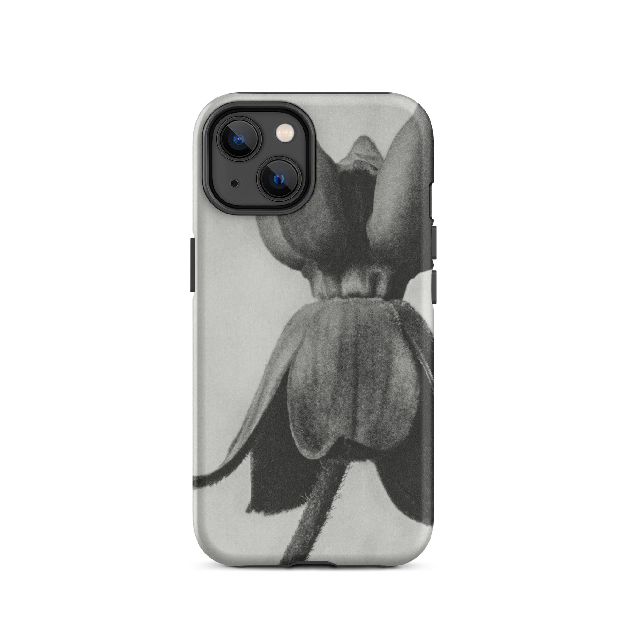 Asclepias Syriaca (common Milkweed) Karl Blossfeldt Iphone Case, 14 / Matte, Black White Floral Phone Case