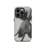 Asclepias Syriaca (common Milkweed) - Karl Blossfeldt Iphone Case, 14 Pro / Matte, Gray Phone Case Flower Design