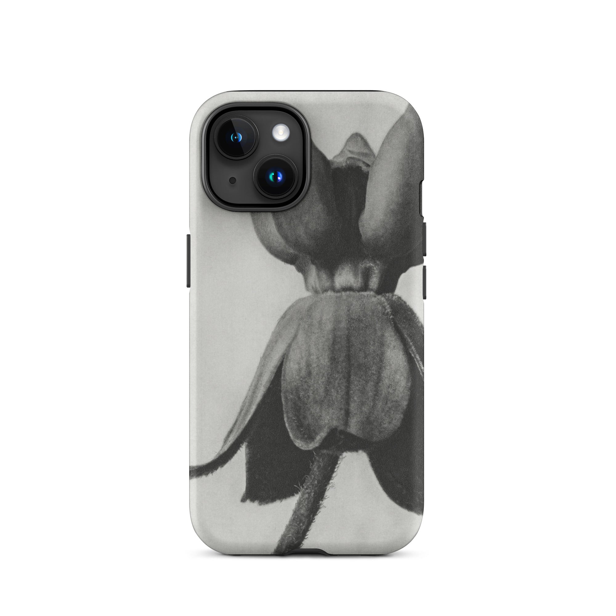 Asclepias Syriaca (common Milkweed) Karl Blossfeldt Iphone Case, 15 / Matte, Black White Floral Phone Case