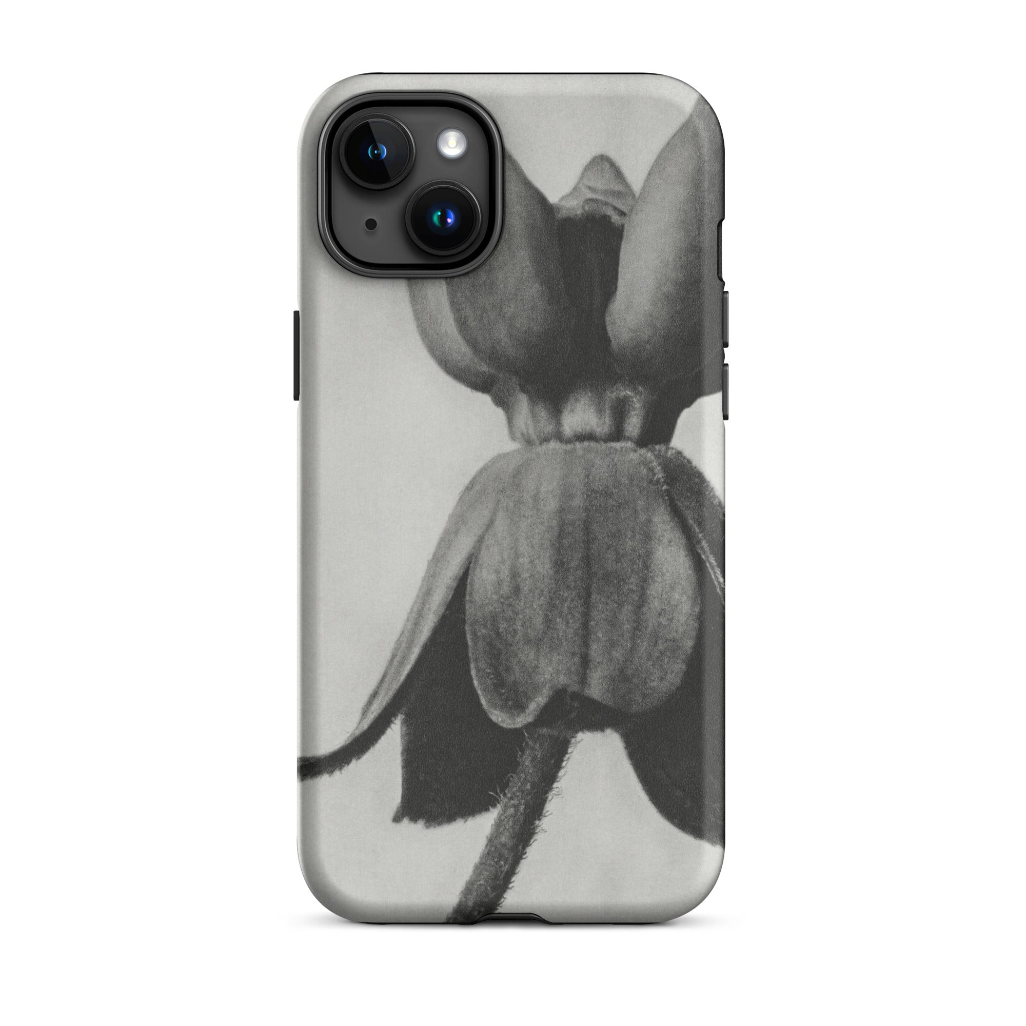 Asclepias Syriaca (common Milkweed) Karl Blossfeldt Iphone Case, 15 Plus / Matte, Black White Floral Phone Case