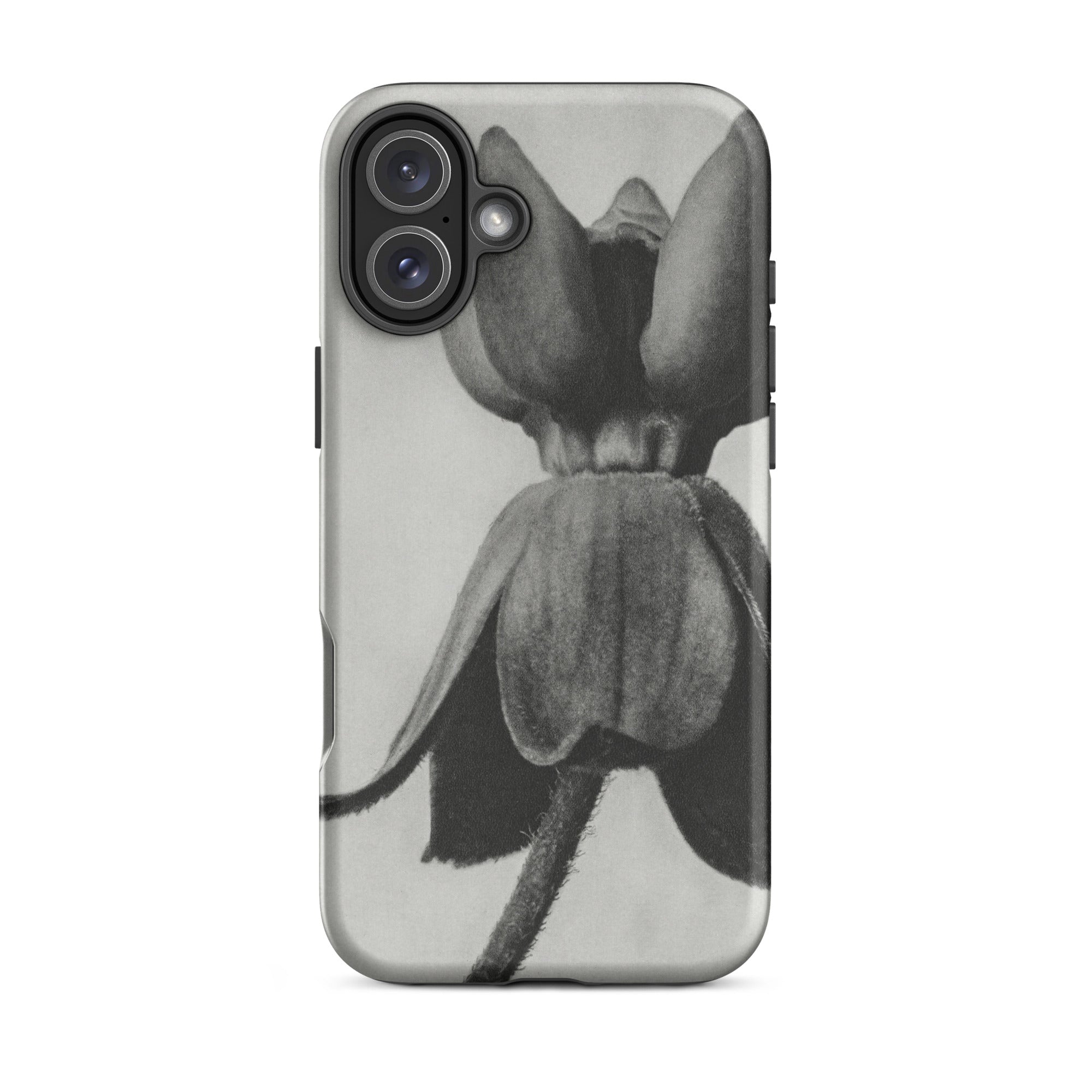 Asclepias Syriaca (common Milkweed) Karl Blossfeldt Iphone Case, 16 Plus / Matte, Black White Floral Phone Case
