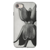 Asclepias Syriaca (common Milkweed) - Karl Blossfeldt Iphone Case, 8 / Matte, Phone Case Black White Photograph Tulip Flower
