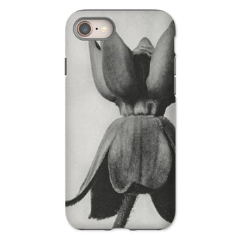 Asclepias Syriaca (common Milkweed) - Karl Blossfeldt Iphone Case, 8 / Matte, Phone Case Black White Photograph Tulip Flower