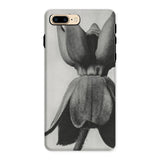 Asclepias Syriaca (common Milkweed) - Karl Blossfeldt Iphone Case, 8 Plus / Matte, Phone Case Black White Photograph Tulip Flower
