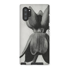 Asclepias Syriaca (common Milkweed) - Karl Blossfeldt Iphone Case