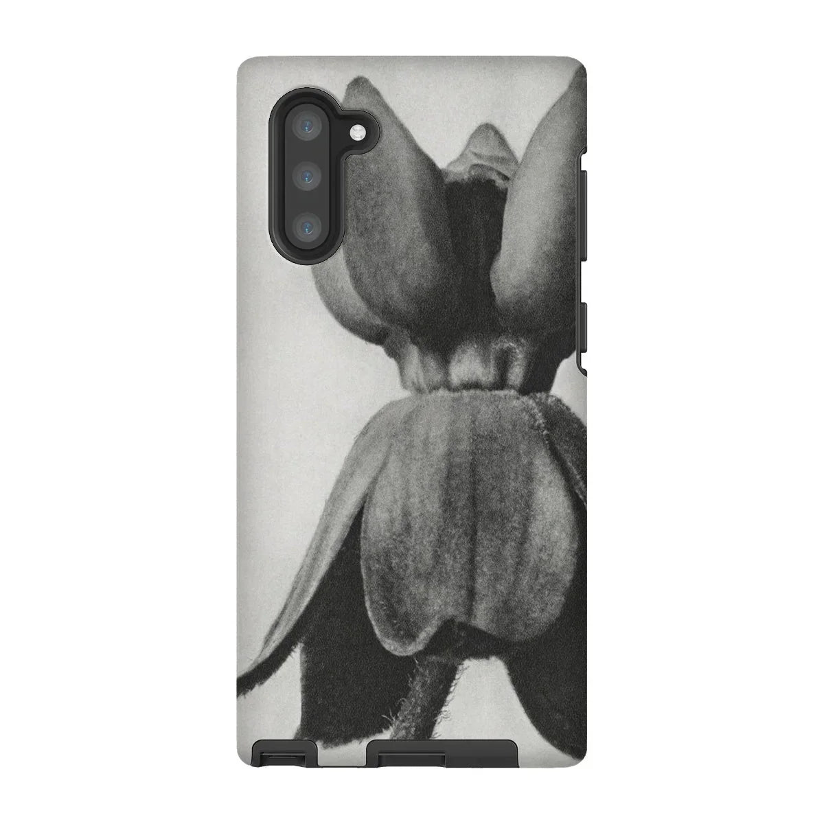 Asclepias Syriaca (common Milkweed) - Karl Blossfeldt Iphone Case