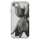 Asclepias Syriaca (common Milkweed) - Karl Blossfeldt Iphone Case - 8 / Matte