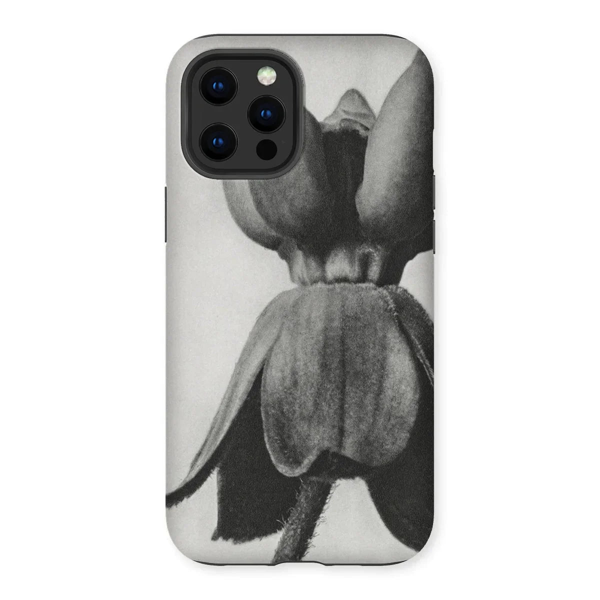 Asclepias Syriaca (common Milkweed) - Karl Blossfeldt Iphone Case - 13 Pro Max / Matte