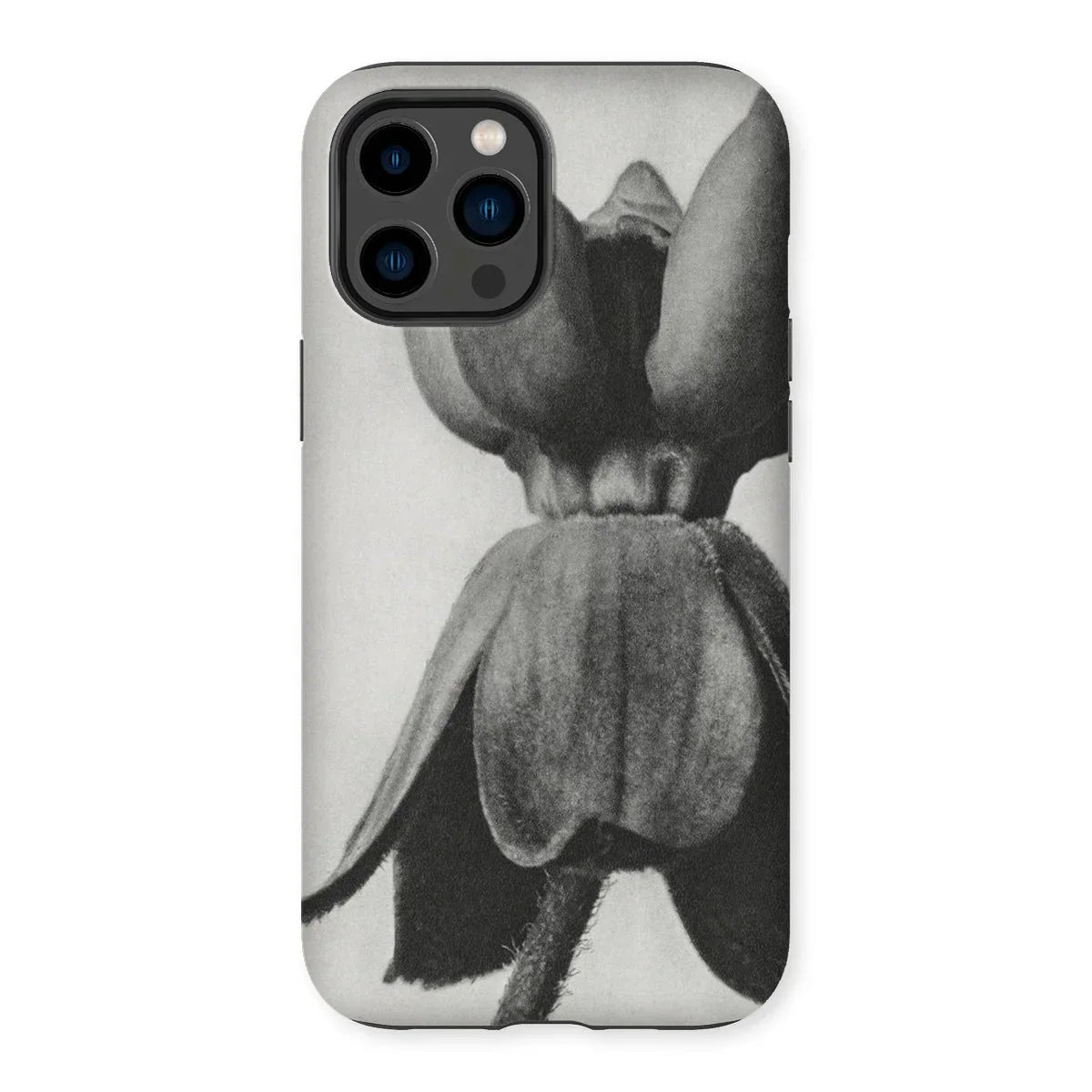 Asclepias Syriaca (common Milkweed) - Karl Blossfeldt Iphone Case - 14 Pro Max / Matte