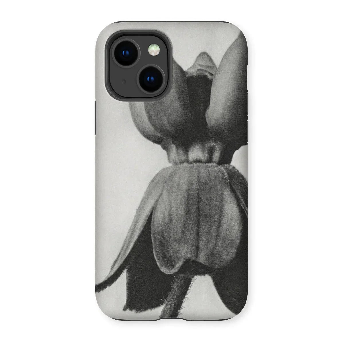 Asclepias Syriaca (common Milkweed) - Karl Blossfeldt Iphone Case - 14 / Matte