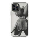 Asclepias Syriaca (common Milkweed) - Karl Blossfeldt Iphone Case - 12 Pro / Matte