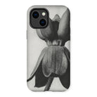 Asclepias Syriaca (common Milkweed) - Karl Blossfeldt Iphone Case - 14 Plus / Matte