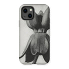 Asclepias Syriaca (common Milkweed) - Karl Blossfeldt Iphone Case - 13 / Matte