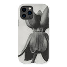 Asclepias Syriaca (common Milkweed) - Karl Blossfeldt Iphone Case - 14 Pro / Matte