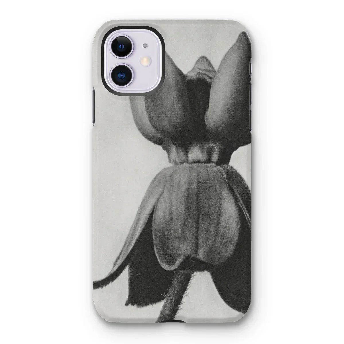 Asclepias Syriaca (common Milkweed) - Karl Blossfeldt Iphone Case - 11 / Matte