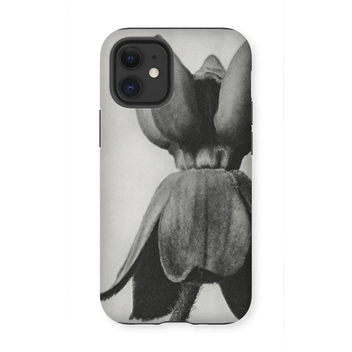 Asclepias Syriaca (common Milkweed) - Karl Blossfeldt Iphone Case - 12 Mini / Matte