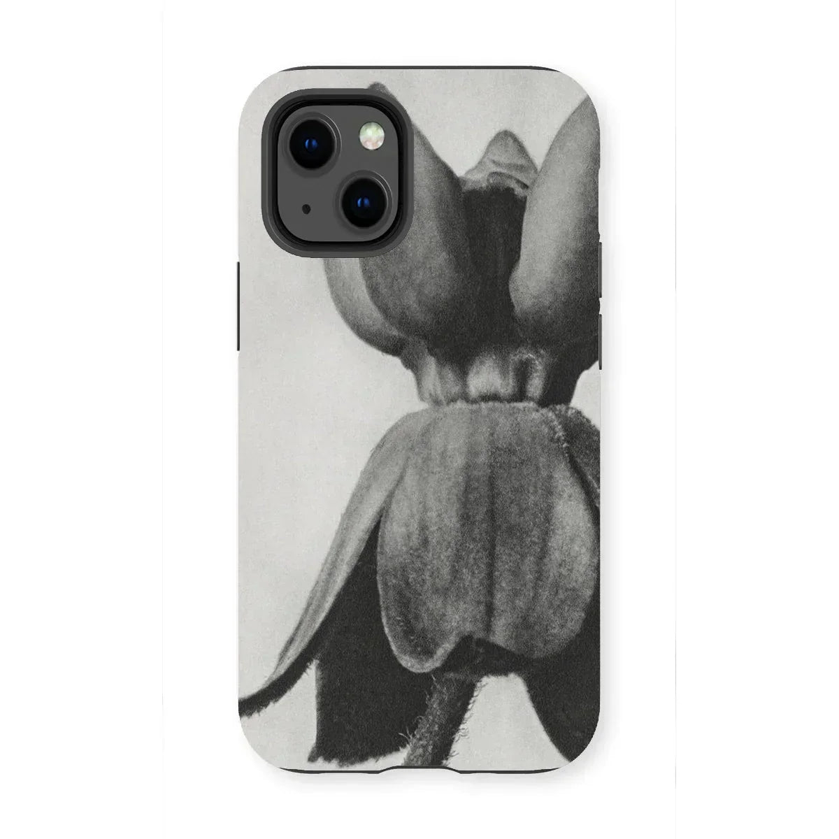 Asclepias Syriaca (common Milkweed) - Karl Blossfeldt Iphone Case - 13 Mini / Matte