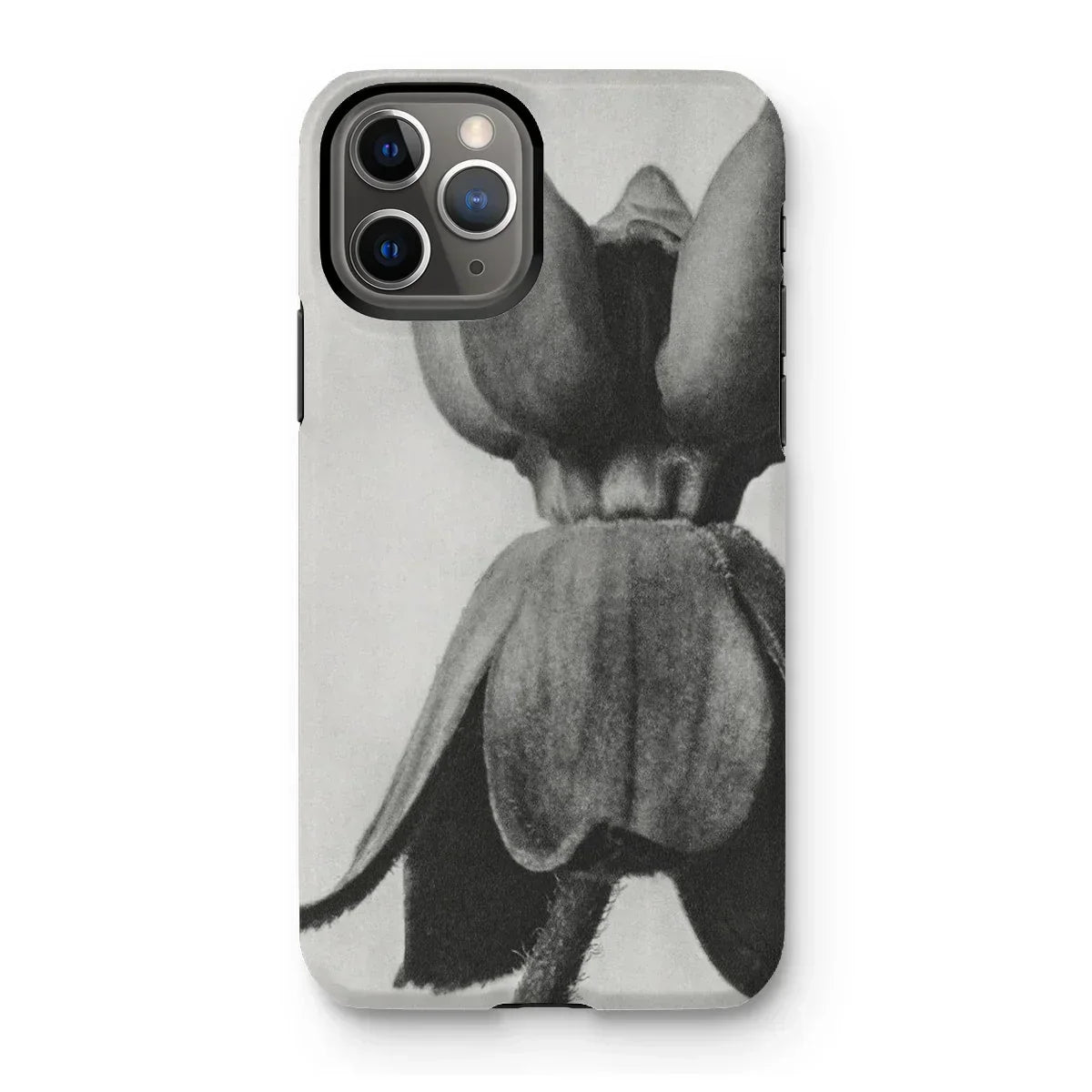 Asclepias Syriaca (common Milkweed) - Karl Blossfeldt Iphone Case - 11 Pro / Matte