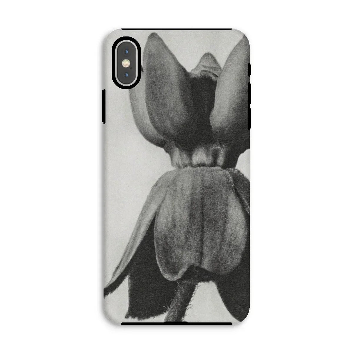 Asclepias Syriaca (common Milkweed) - Karl Blossfeldt Iphone Case - Xs Max / Matte