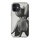 Asclepias Syriaca (common Milkweed) - Karl Blossfeldt Iphone Case - 12 / Matte