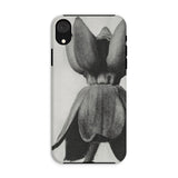 Asclepias Syriaca (common Milkweed) - Karl Blossfeldt Iphone Case, Xr / Matte, Phone Case Black White Photograph Tulip Flower