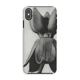 Asclepias Syriaca (common Milkweed) - Karl Blossfeldt Iphone Case, Xs Max / Matte, Phone Case Black White Photograph Tulip Flower