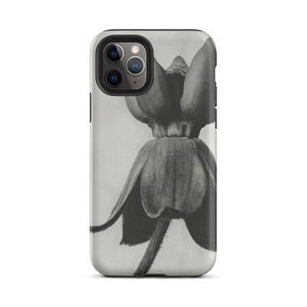 Asclepias Syriaca (common Milkweed) - Karl Blossfeldt Phone Case Iphone 11 Pro / Matte Black White Floral Phone Case Karl Blossfeldt,