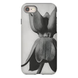 Asclepias Syriaca (common Milkweed) - Karl Blossfeldt Phone Case Iphone 8 / Matte Phone Case Black White Photograph Tulip Flower Karl