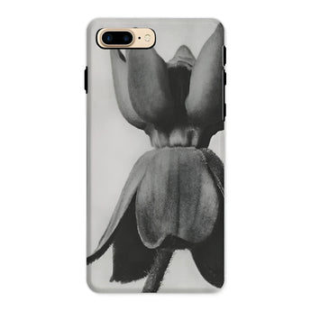 Asclepias Syriaca (common Milkweed) - Karl Blossfeldt Phone Case Iphone 8 Plus / Matte Phone Case Black White Photograph Tulip Flower Karl