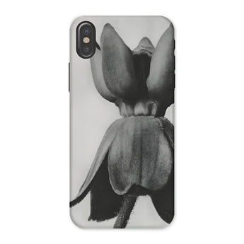 Asclepias Syriaca (common Milkweed) - Karl Blossfeldt Phone Case Iphone x / Matte Phone Case Black White Photograph Tulip Flower Karl