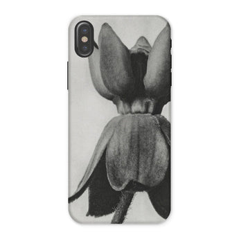 Asclepias Syriaca (common Milkweed) - Karl Blossfeldt Phone Case Iphone x / Matte Phone Case Black White Photograph Tulip Flower Karl