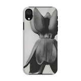 Asclepias Syriaca (common Milkweed) - Karl Blossfeldt Phone Case Iphone Xr / Matte Phone Case Black White Photograph Tulip Flower Karl
