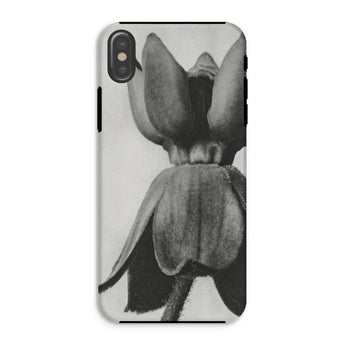 Asclepias Syriaca (common Milkweed) - Karl Blossfeldt Phone Case Iphone Xs / Matte Phone Case Black White Photograph Tulip Flower Karl