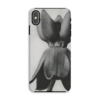 Asclepias Syriaca (common Milkweed) - Karl Blossfeldt Phone Case Iphone Xs Max / Matte Phone Case Black White Photograph Tulip Flower Karl