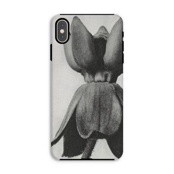Asclepias Syriaca (common Milkweed) - Karl Blossfeldt Phone Case Iphone Xs Max / Matte Phone Case Black White Photograph Tulip Flower Karl