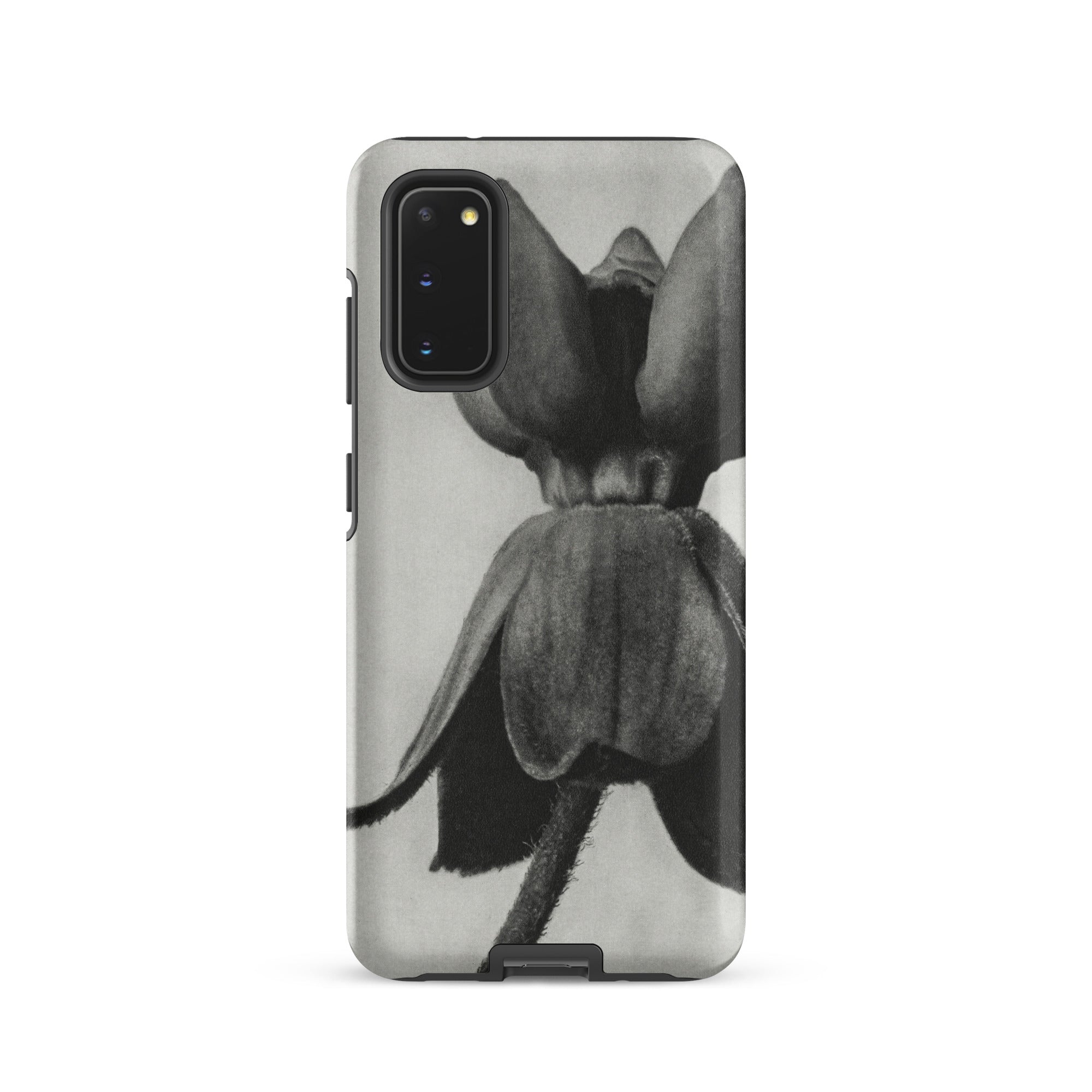 Asclepias Syriaca (common Milkweed) Karl Blossfeldt Samsung Case, Galaxy S20 / Matte, Black White Floral Design Phone Case