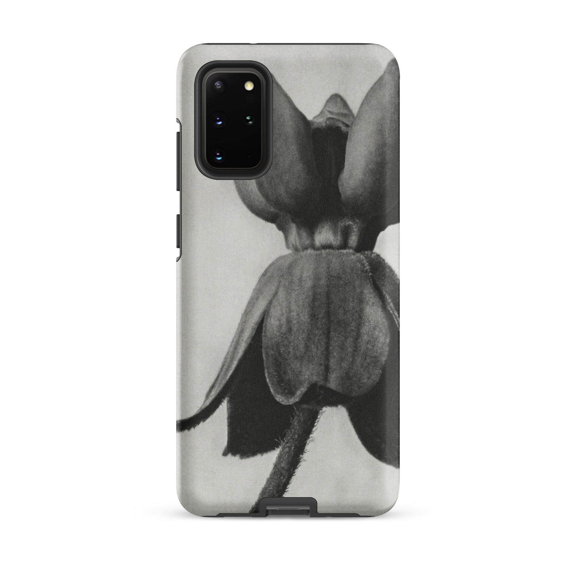 Asclepias Syriaca (common Milkweed) Karl Blossfeldt Samsung Case, Galaxy S20 Plus / Matte, Smartphone Case Black White Floral Design