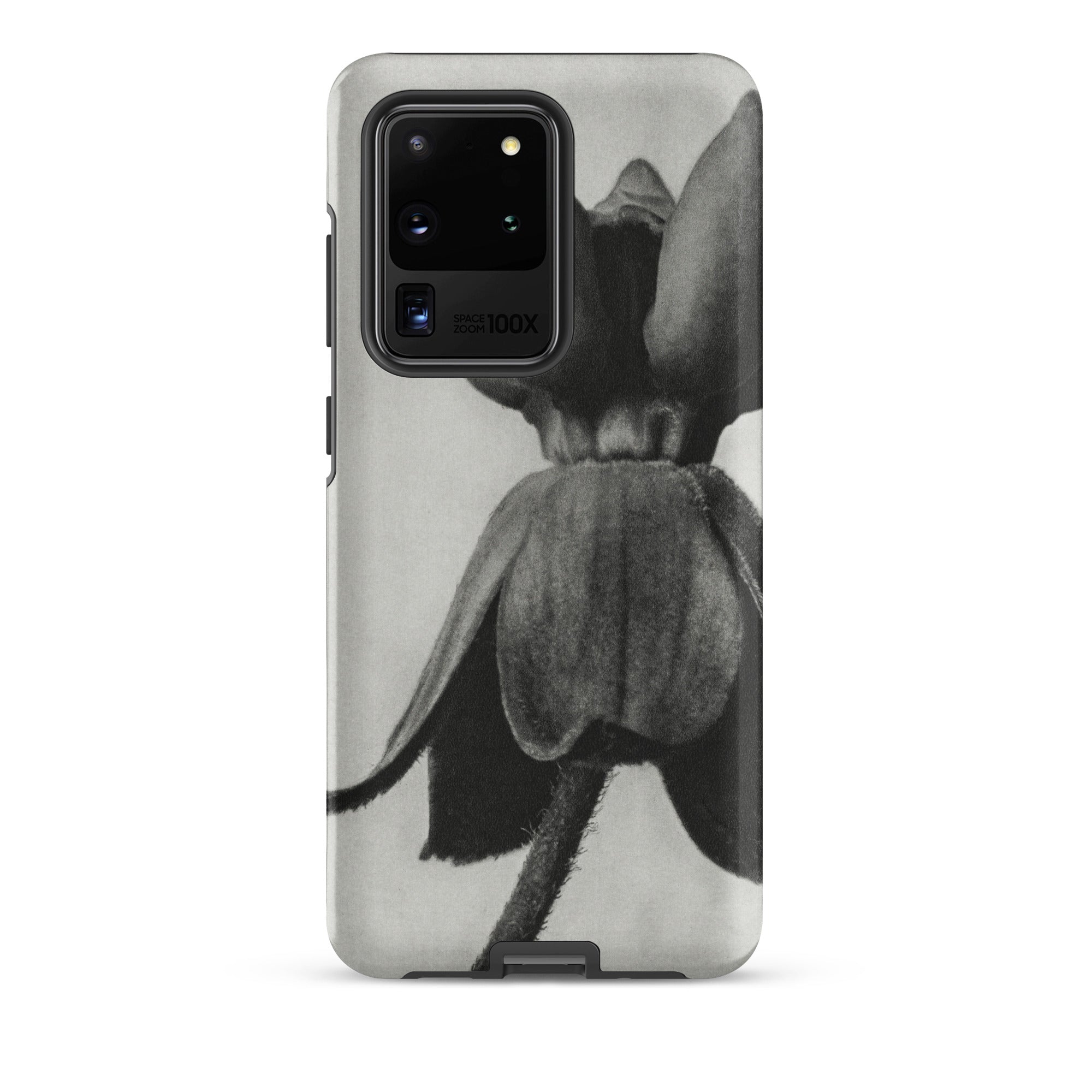 Asclepias Syriaca (common Milkweed) Karl Blossfeldt Samsung Case, Galaxy S20 Ultra / Matte, Black White Floral Design Phone Case