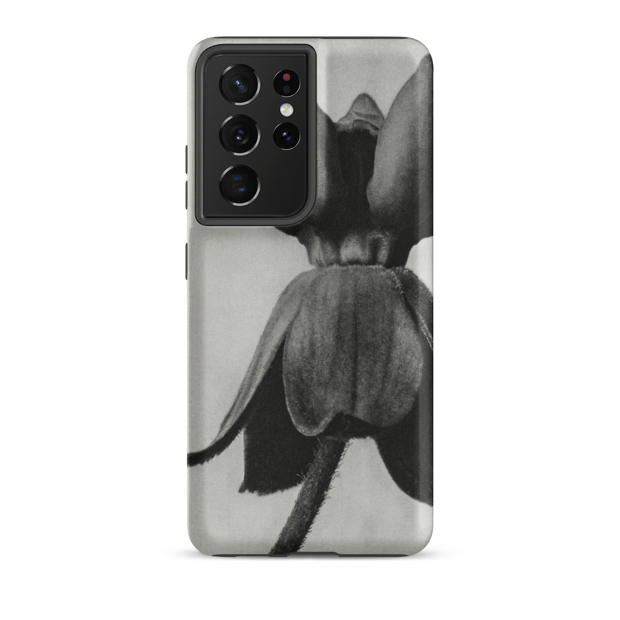 Asclepias Syriaca (common Milkweed) Karl Blossfeldt Samsung Case, Galaxy S21 Ultra / Matte, Black White Floral Phone Case