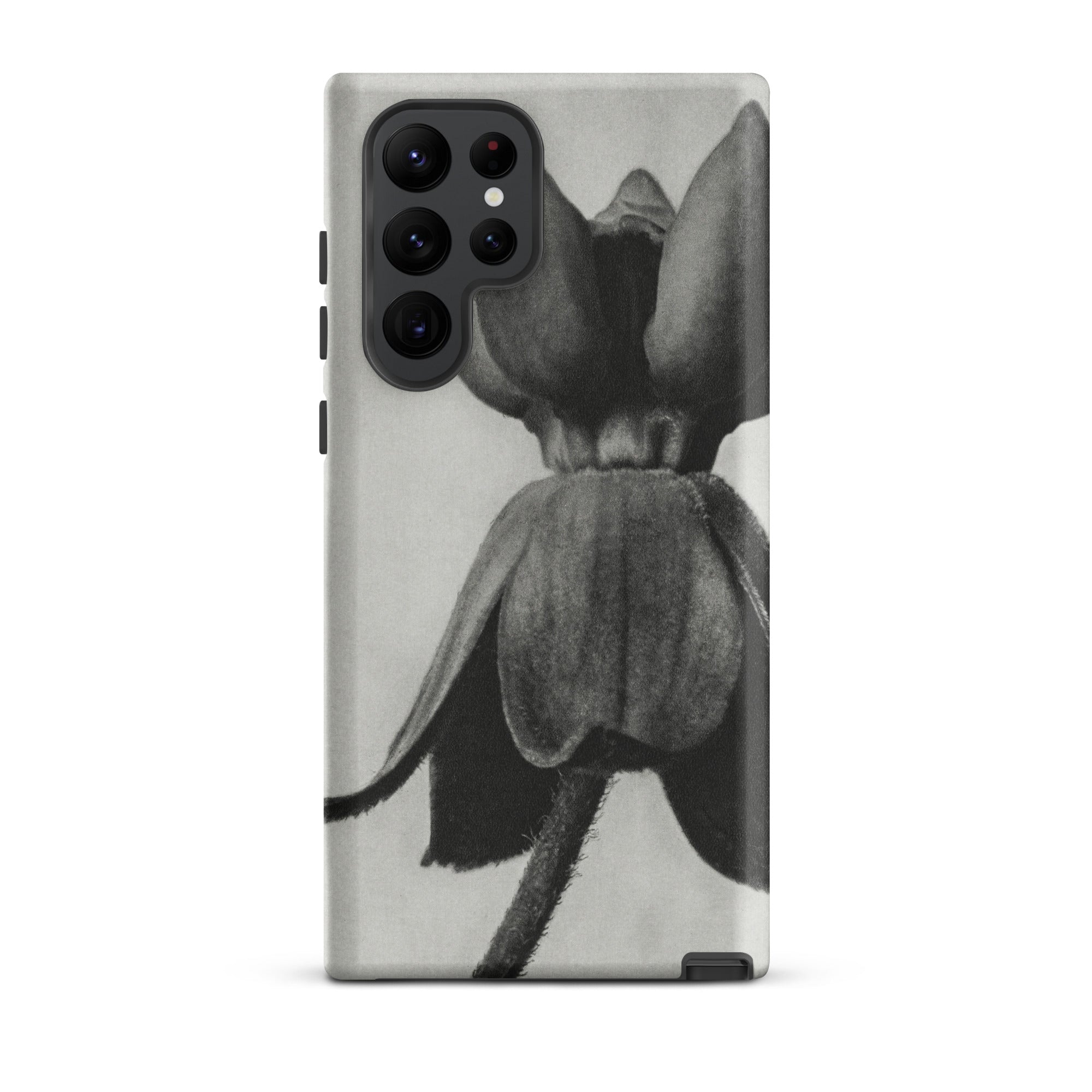 Asclepias Syriaca (common Milkweed) Karl Blossfeldt Samsung Case, Galaxy S22 Ultra / Matte, Monochrome Floral Design Smartphone Case
