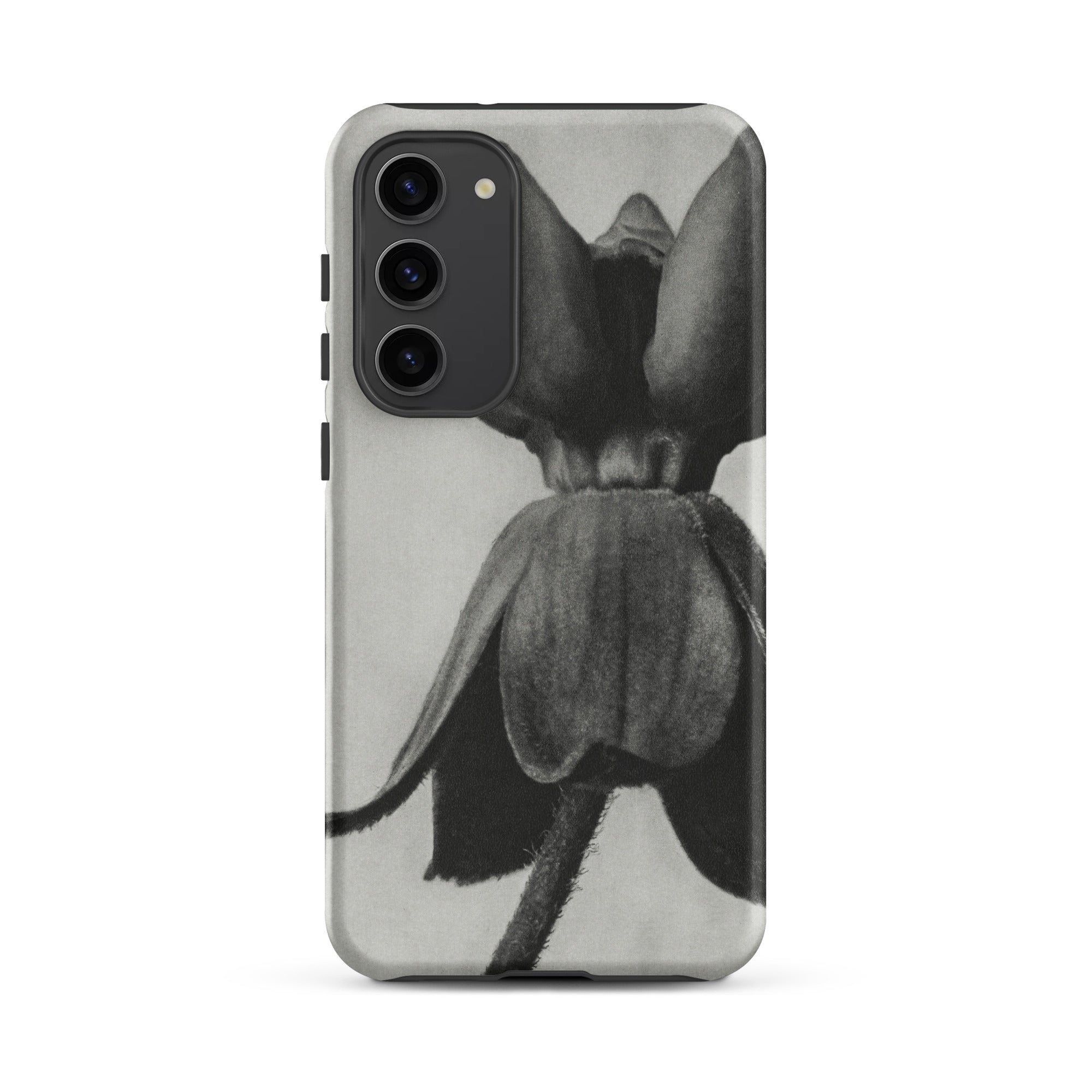 Asclepias Syriaca (common Milkweed) Karl Blossfeldt Samsung Case, Galaxy S23 Plus / Matte, Black White Floral Phone Case