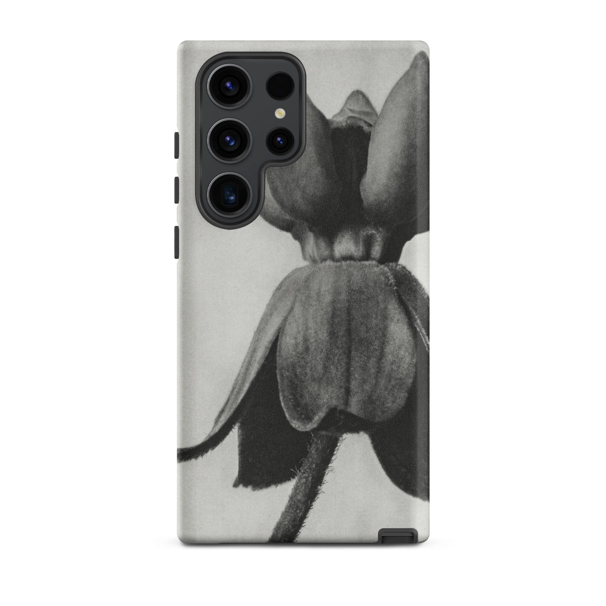 Asclepias Syriaca (common Milkweed) Karl Blossfeldt Samsung Case, Galaxy S23 Ultra / Matte, Black White Floral Design Phone Case
