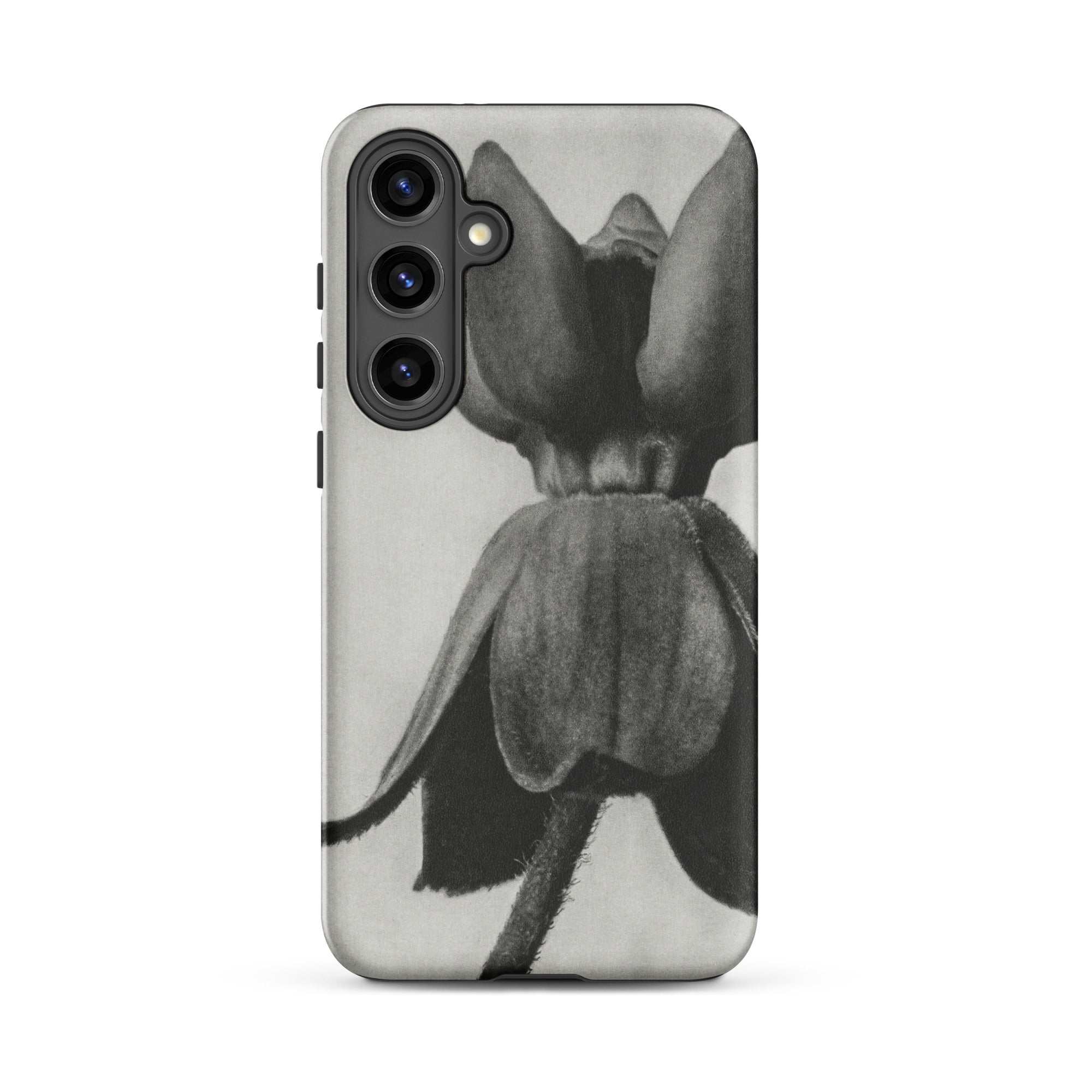 Asclepias Syriaca (common Milkweed) Karl Blossfeldt Samsung Case, Galaxy S24 Plus / Matte, Phone Case Black White Floral Design