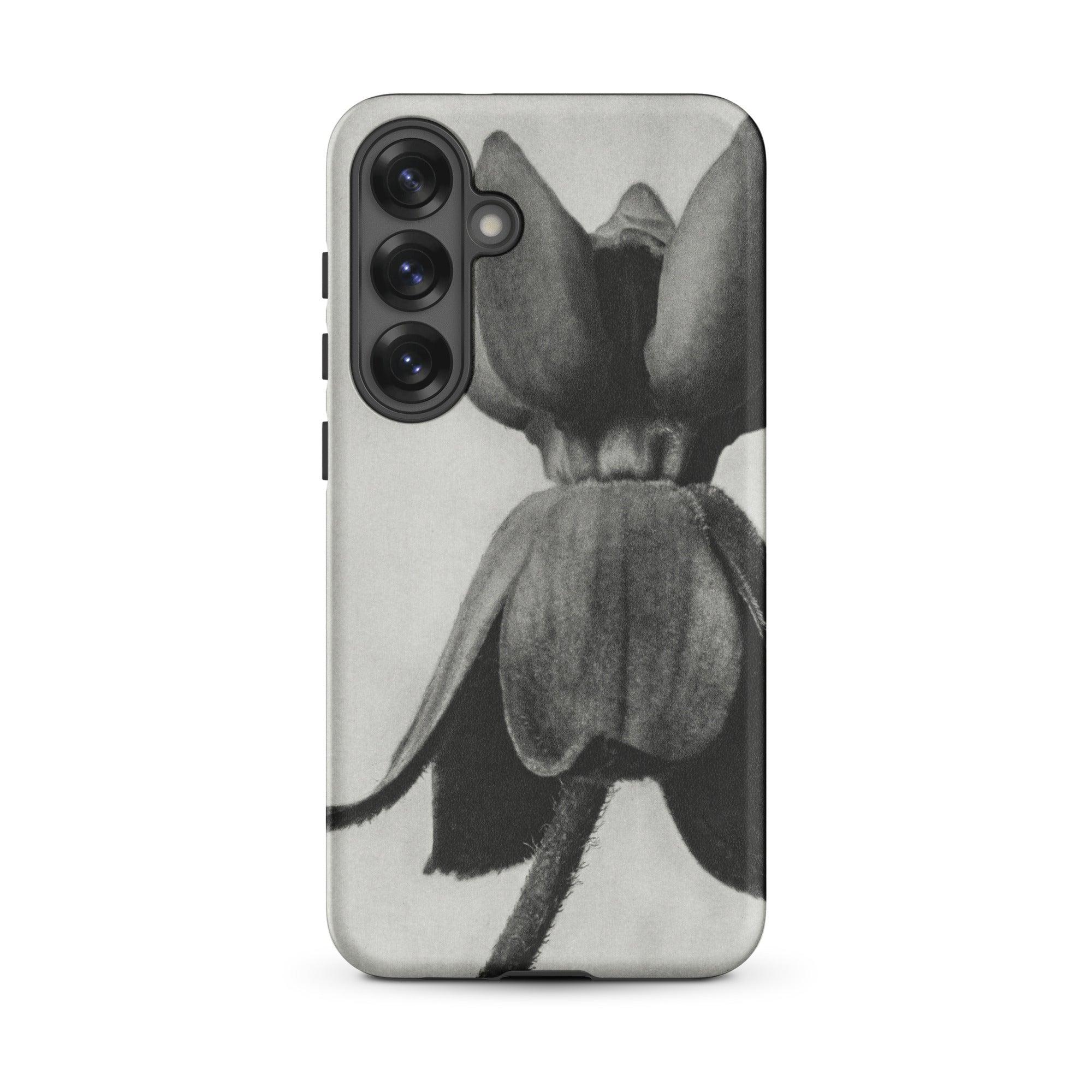 Asclepias Syriaca (common Milkweed) Karl Blossfeldt Samsung Case, Galaxy S25 Plus / Matte, Phone Case Black White Floral Design