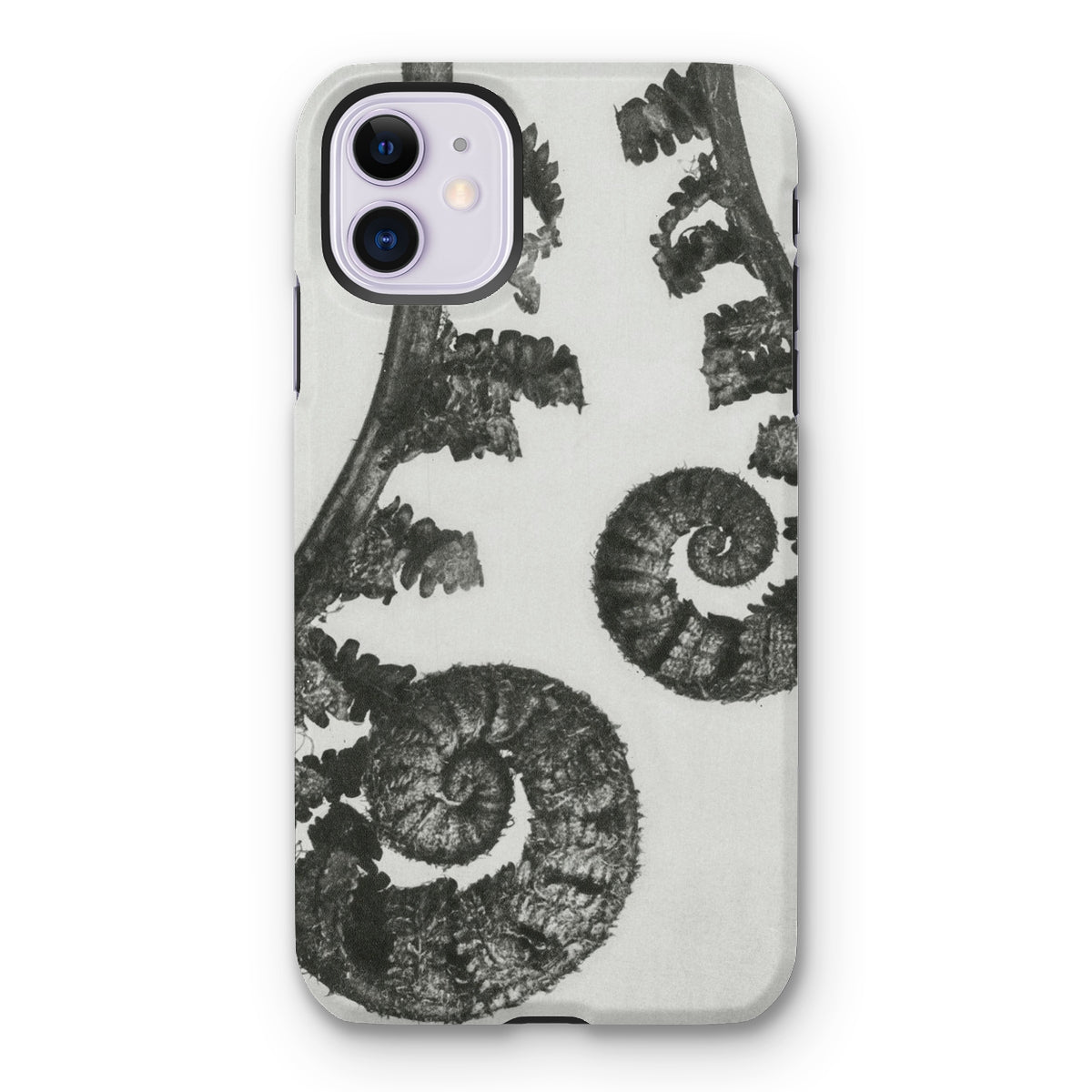 Aspidium Filix Mas (shield Fern Fronds) by Karl Blossfeldt Iphone Case, 11 / Matte, Fern-patterned Phone Case