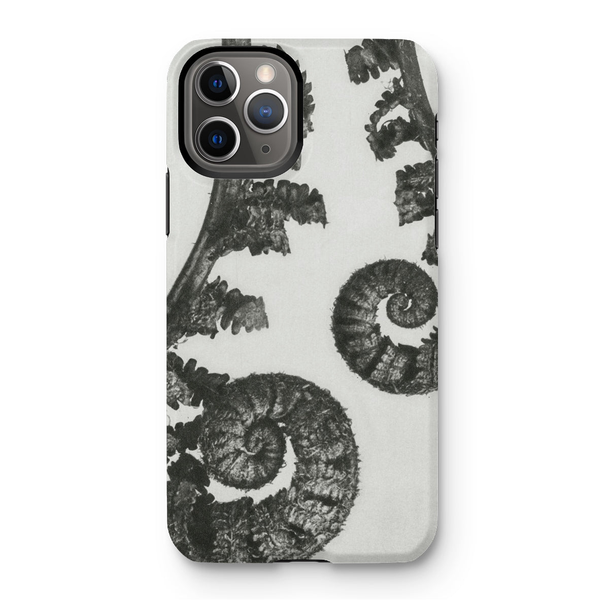Aspidium Filix Mas (shield Fern Fronds) by Karl Blossfeldt Iphone Case, 11 Pro / Matte, Fern-patterned Phone Case