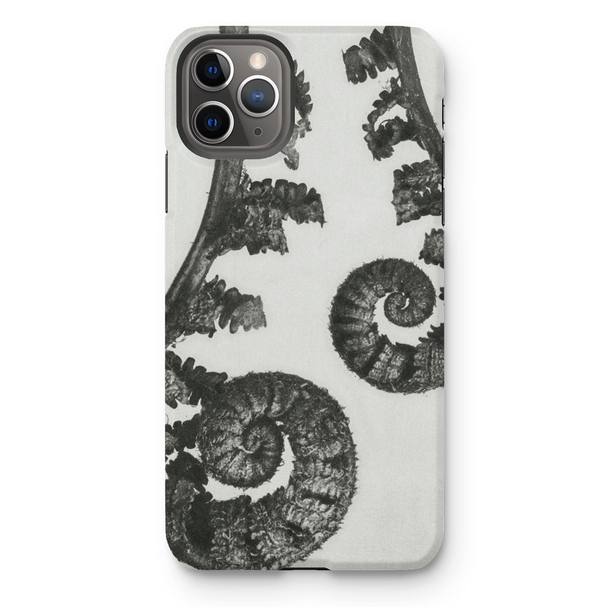 Aspidium Filix Mas (shield Fern Fronds) by Karl Blossfeldt Iphone Case, 11 Pro Max / Matte, Fern-patterned Phone Case